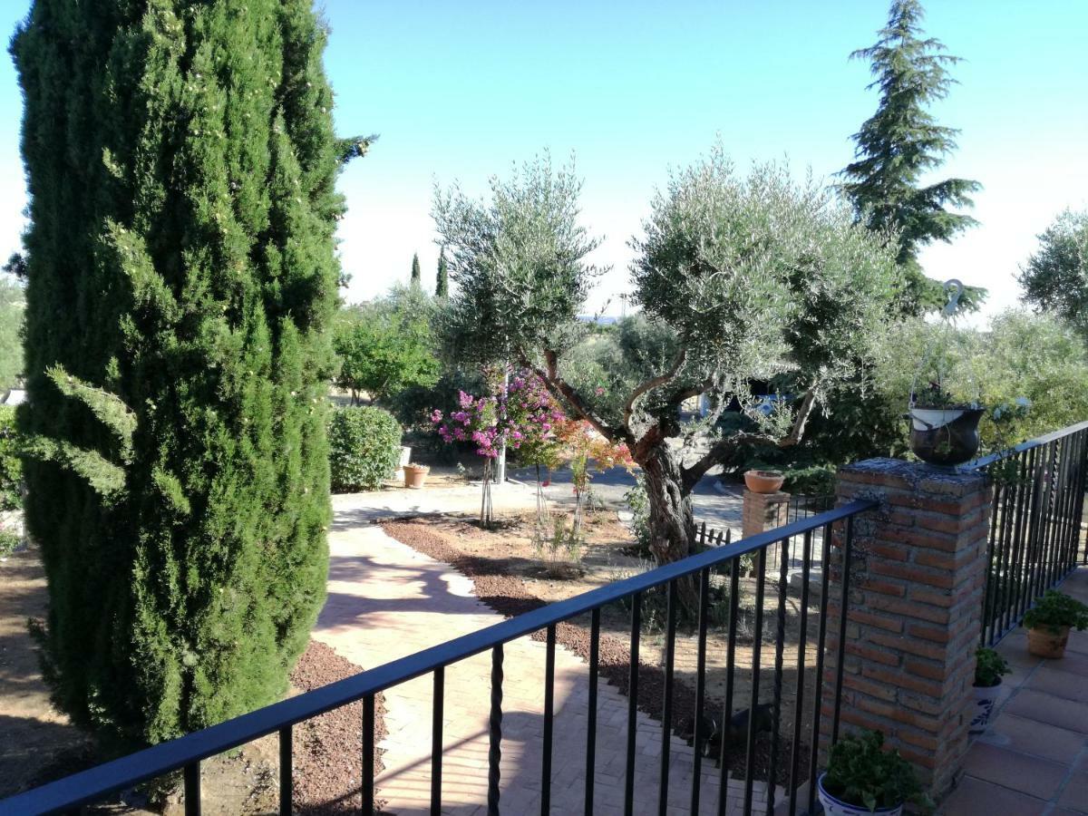 Casa Rural La Amistad Villa Burguillos de Toledo Exterior photo